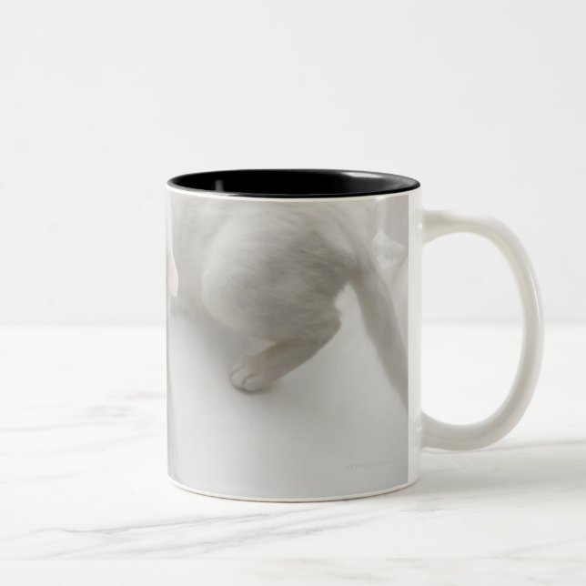 Cat playing with heart shaped candy Two-Tone coffee mug (Right)
