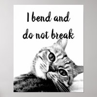 Cat Poets Jean de La Fontaine I bend do not break 