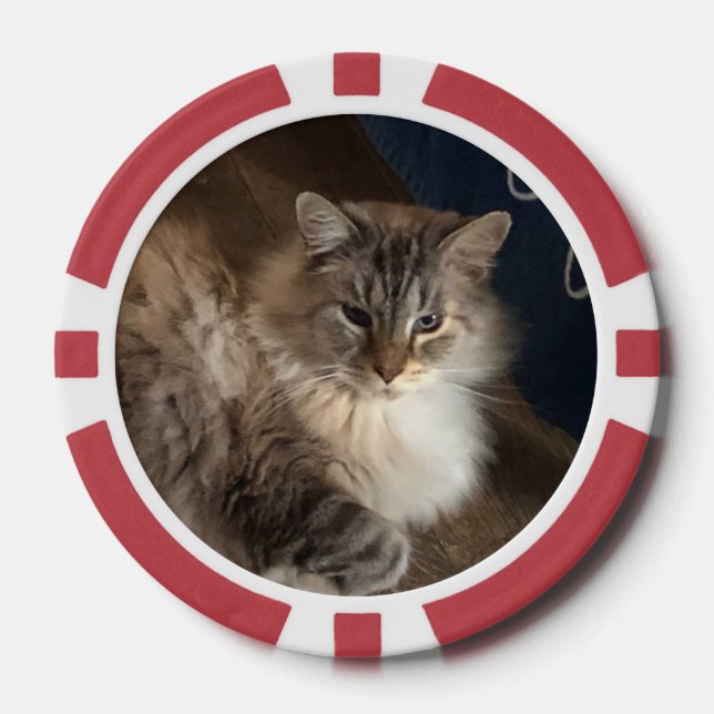 Cat Poker Chips (Front)