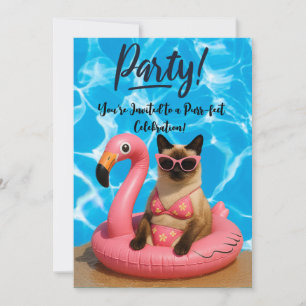 Cat Pool Party  Invitation