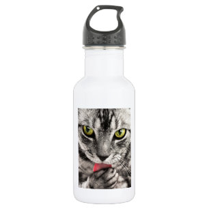 Cat Portrait 532 Ml Water Bottle
