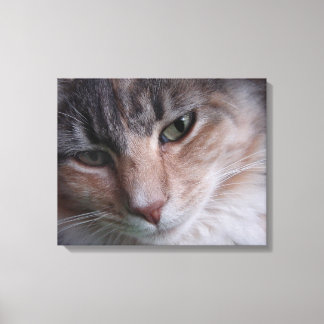 Cat Portrait Canvas Print
