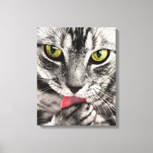 Cat Portrait Canvas Print