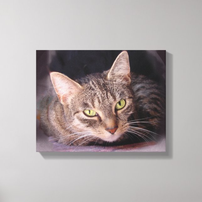 Cat Portrait Canvas Print (Front)