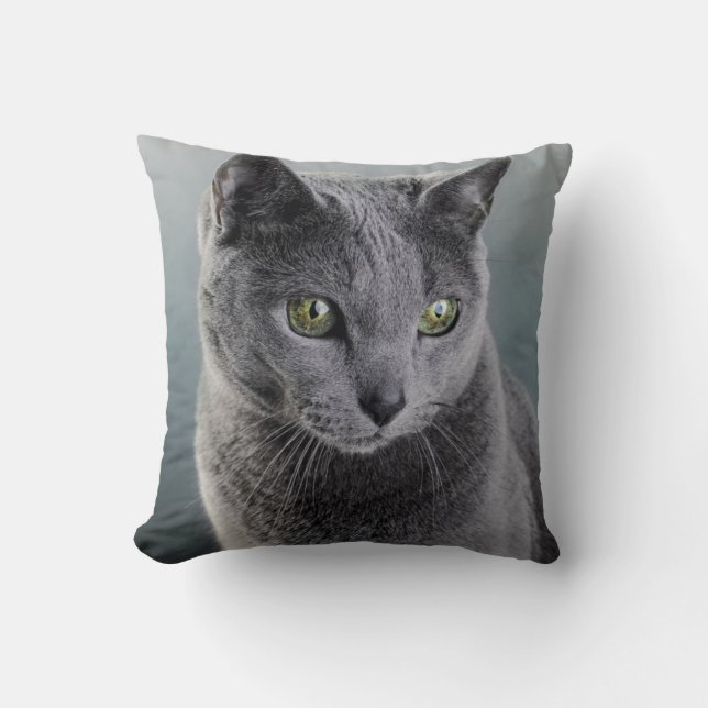 Cat Portrait Cushion (Front)