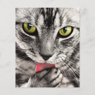 Cat Portrait Flyer