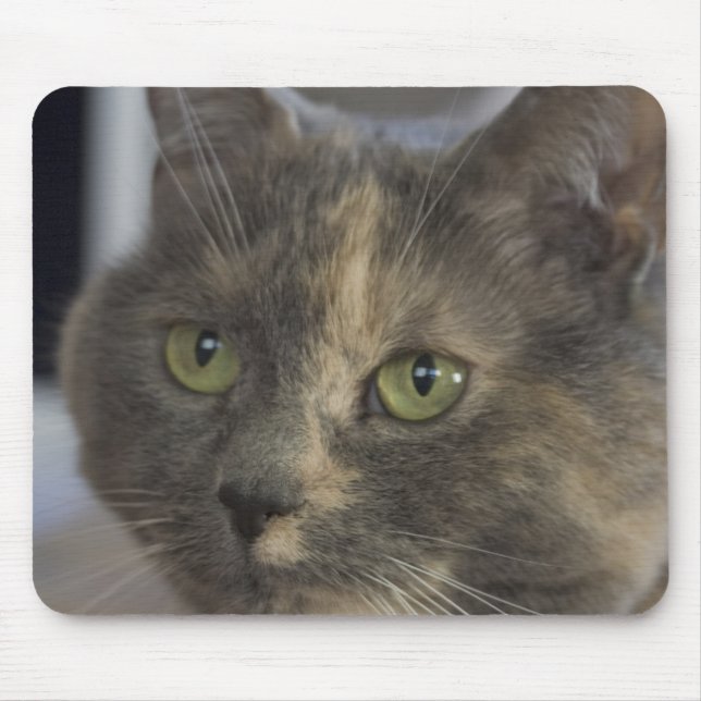 Cat Portrait Mousepad (Front)