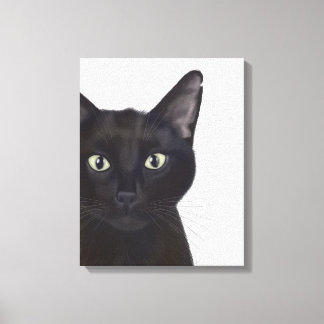 Cat, Portrait of Gus Canvas Print (Front)
