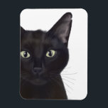 Cat, Portrait of Gus Magnet<br><div class="desc">Cat,  Portrait of Gus by Fabfunky. Features an upclose image of a cute black cat. | 191548D</div>