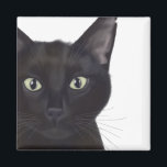 Cat, Portrait of Gus Magnet<br><div class="desc">Cat,  Portrait of Gus by Fabfunky. Features an upclose image of a cute black cat. | 191548D</div>