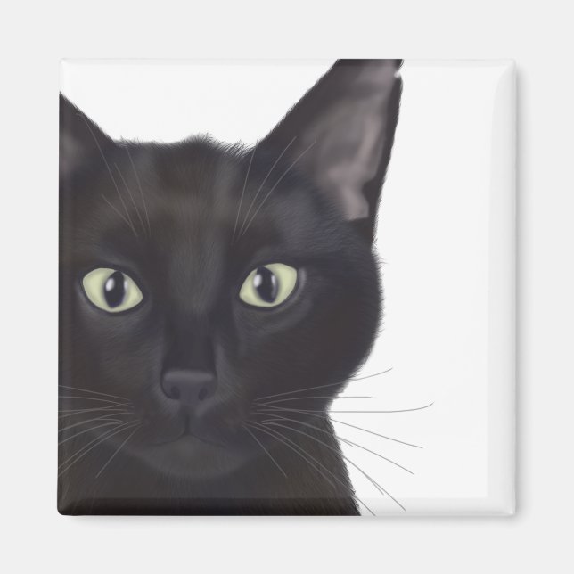 Cat, Portrait of Gus Magnet (Front)