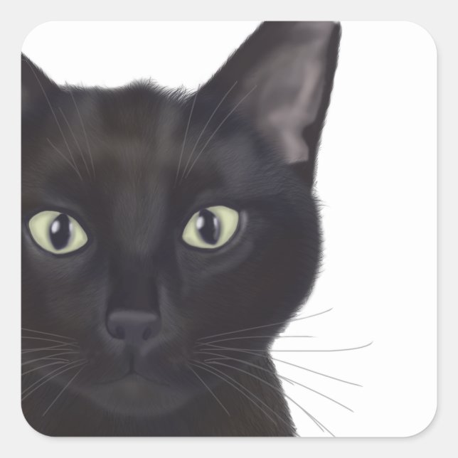 Cat, Portrait of Gus Square Sticker (Front)