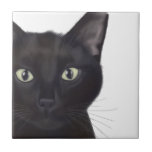 Cat, Portrait of Gus Tile<br><div class="desc">Cat, Portrait of Gus by Fabfunky. Features an upclose image of a cute black cat. | 191548D</div>