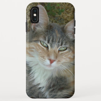 Cat Portrait 😺 Phone Case