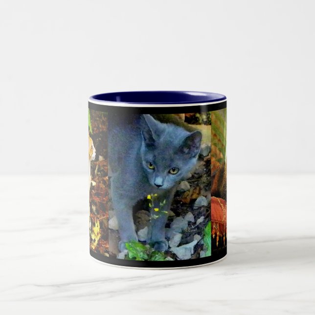 CAT PORTRAITS Two-Tone COFFEE MUG (Center)