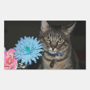 Cat Poses with Flowers Stickers