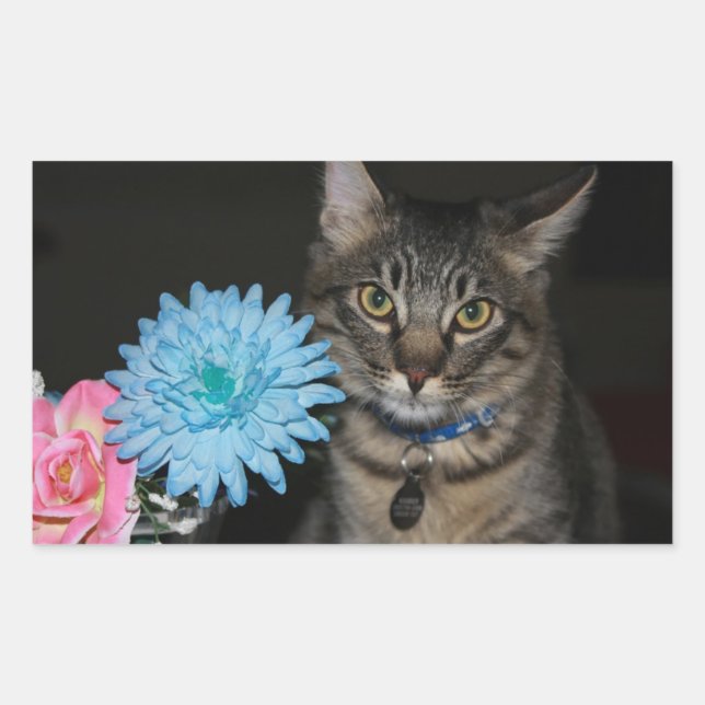 Cat Poses with Flowers Stickers (Front)
