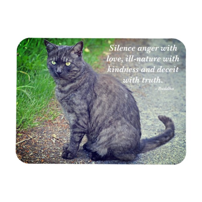 Cat posing II Motivational Buddhist Quote Magnet (Horizontal)
