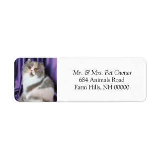 Cat Posing Return Address Labels Stickers