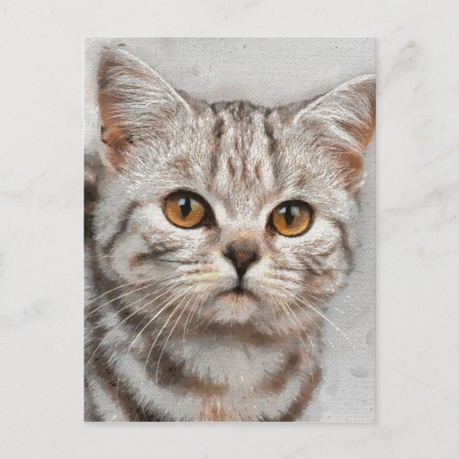 cat postcard (Front)