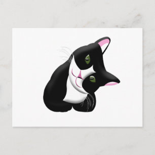 Cat Postcard