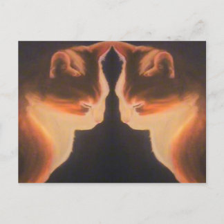 Cat Postcard