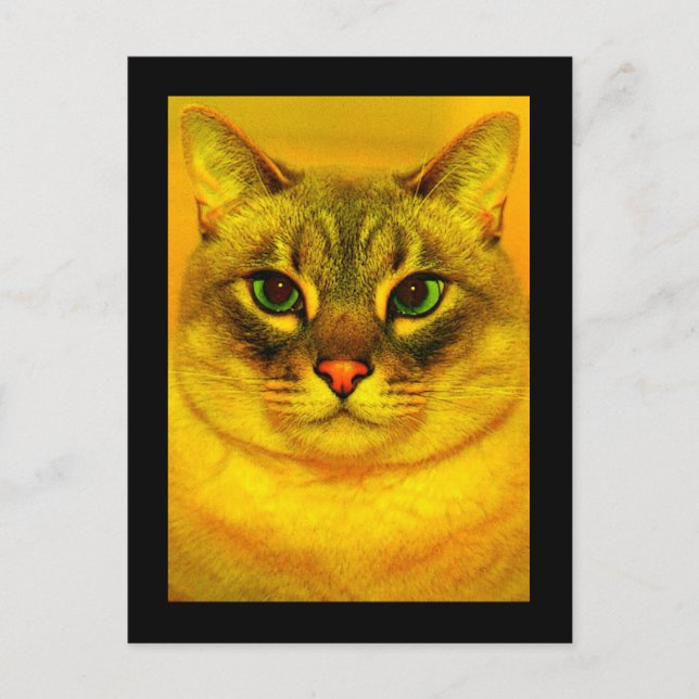 Cat Postcard (Front)