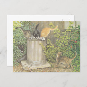 CAT POSTCARD ILLUSTRATION
