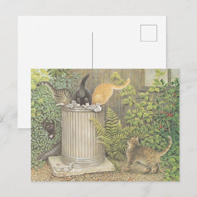 CAT POSTCARD ILLUSTRATION (Front/Back)