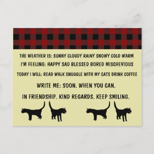 CAT POSTCARDS funny FOR BUSY PERSON