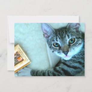 Cat Postcrossing Postcard
