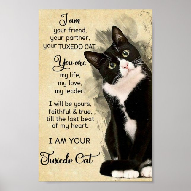 Cat Poster (Front)
