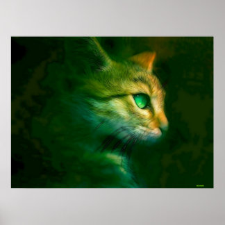 CAT POSTER