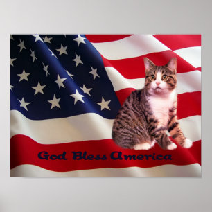 Cat Poster All American