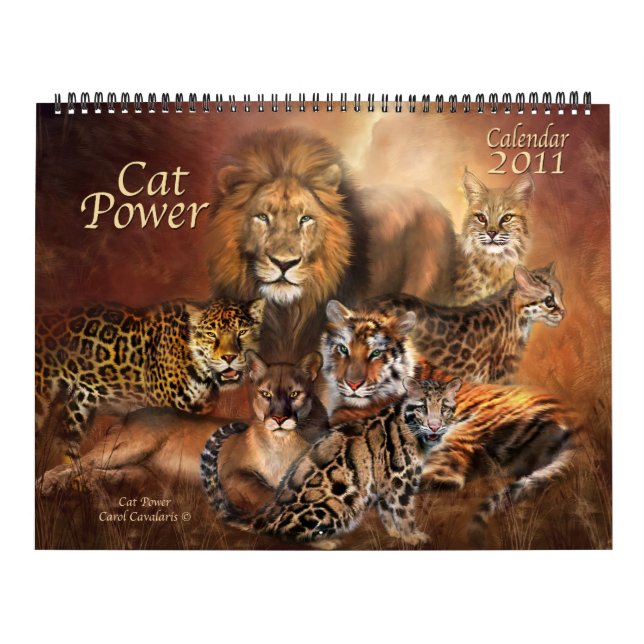 Cat Power 2011 Calendar (Cover)