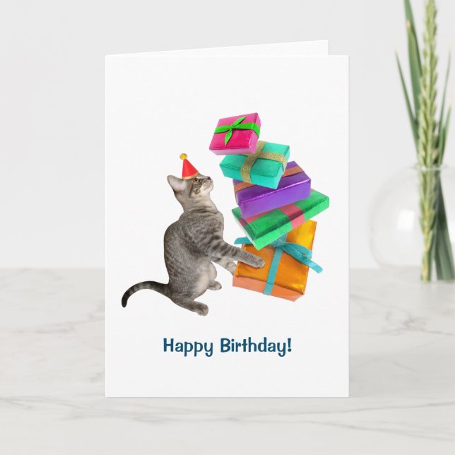 Cat Present Pile Birthday Card (Front)