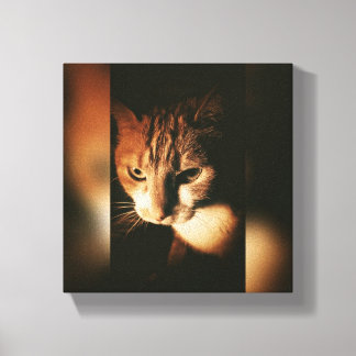 Cat Printed On Canvas