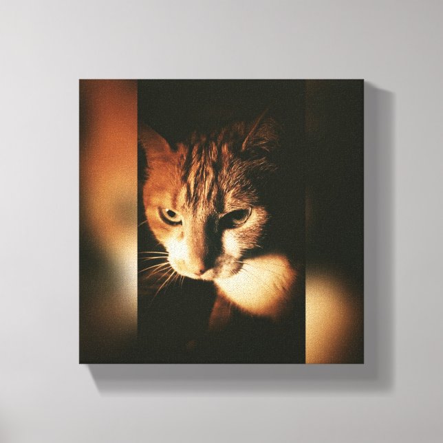 Cat Printed On Canvas Print (Front)