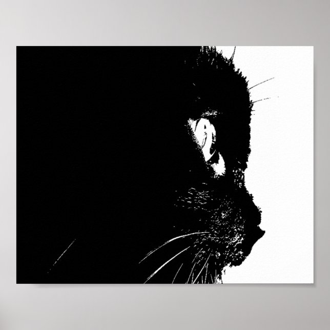 Cat Profile Poster (Front)