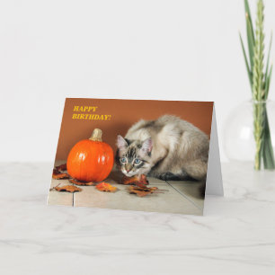 Cat & Pumpkin Birthday Card