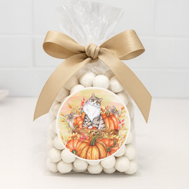 Cat Pumpkins Fall Autumn Orange White Classic Round Sticker (Cat and pumpkins fall/autumn sticker for envelopes and favor bags)