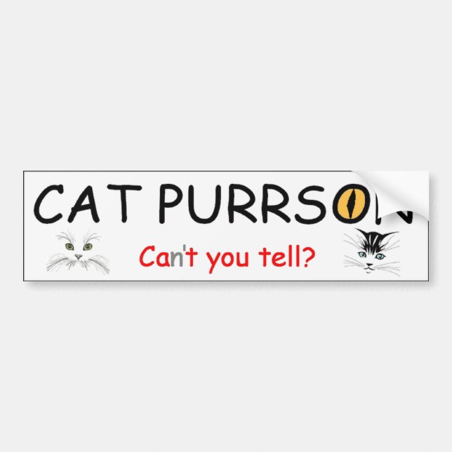 Cat Purrson Bumper Sticker (Front)