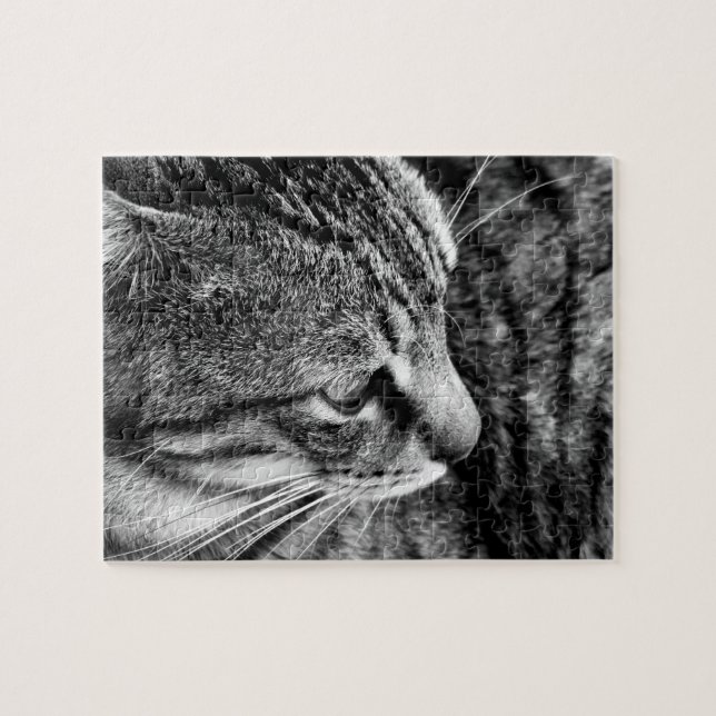 Cat Puzzle (Horizontal)