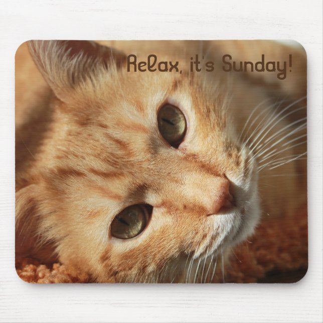 Cat quote mouse mat (Front)