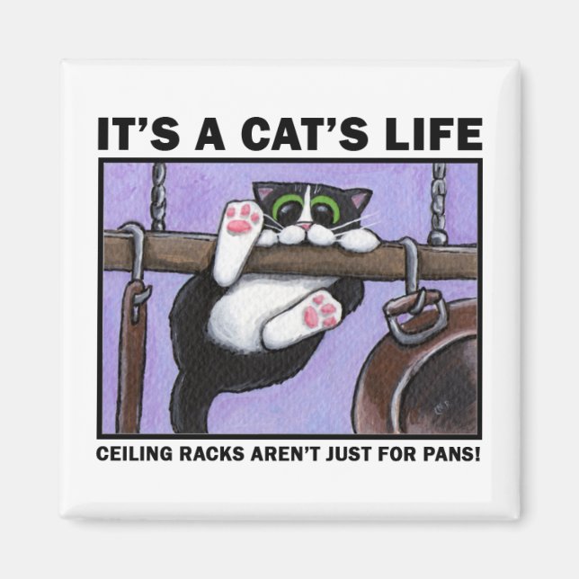 Cat Rack v.01 - It's A Cat's Life Magnets (Front)