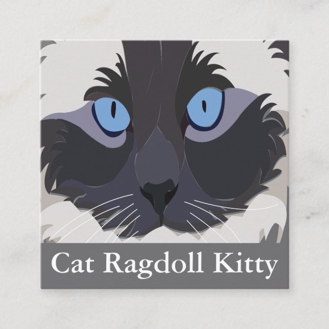 Cat Ragdoll Blue Eyes Kitty Square Business Card (Front)