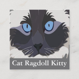 Cat Ragdoll Blue Eyes Square Business Card