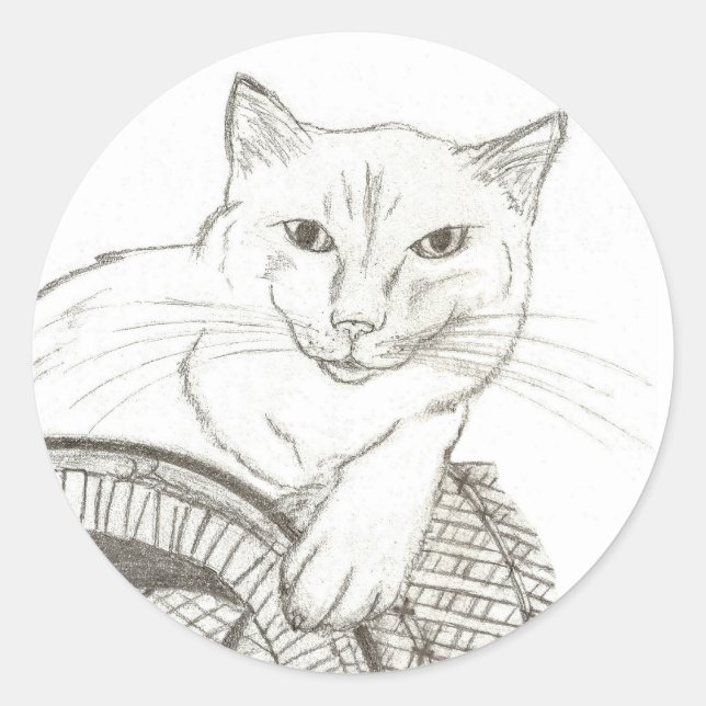 Cat Ragdoll Portrait Round Stickers - Set of 20 (Front)