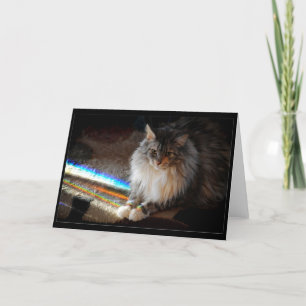 Cat Rainbow Bridge condolence note or greeting Card