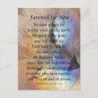 Cat Rainbow Bridge Pet Grief Sympathy Postcards
